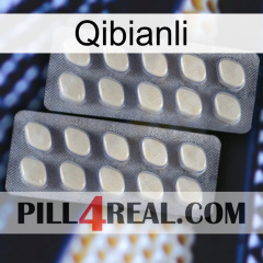 Qibianli 07